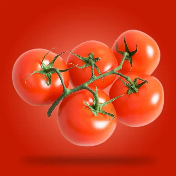 salkım-domates